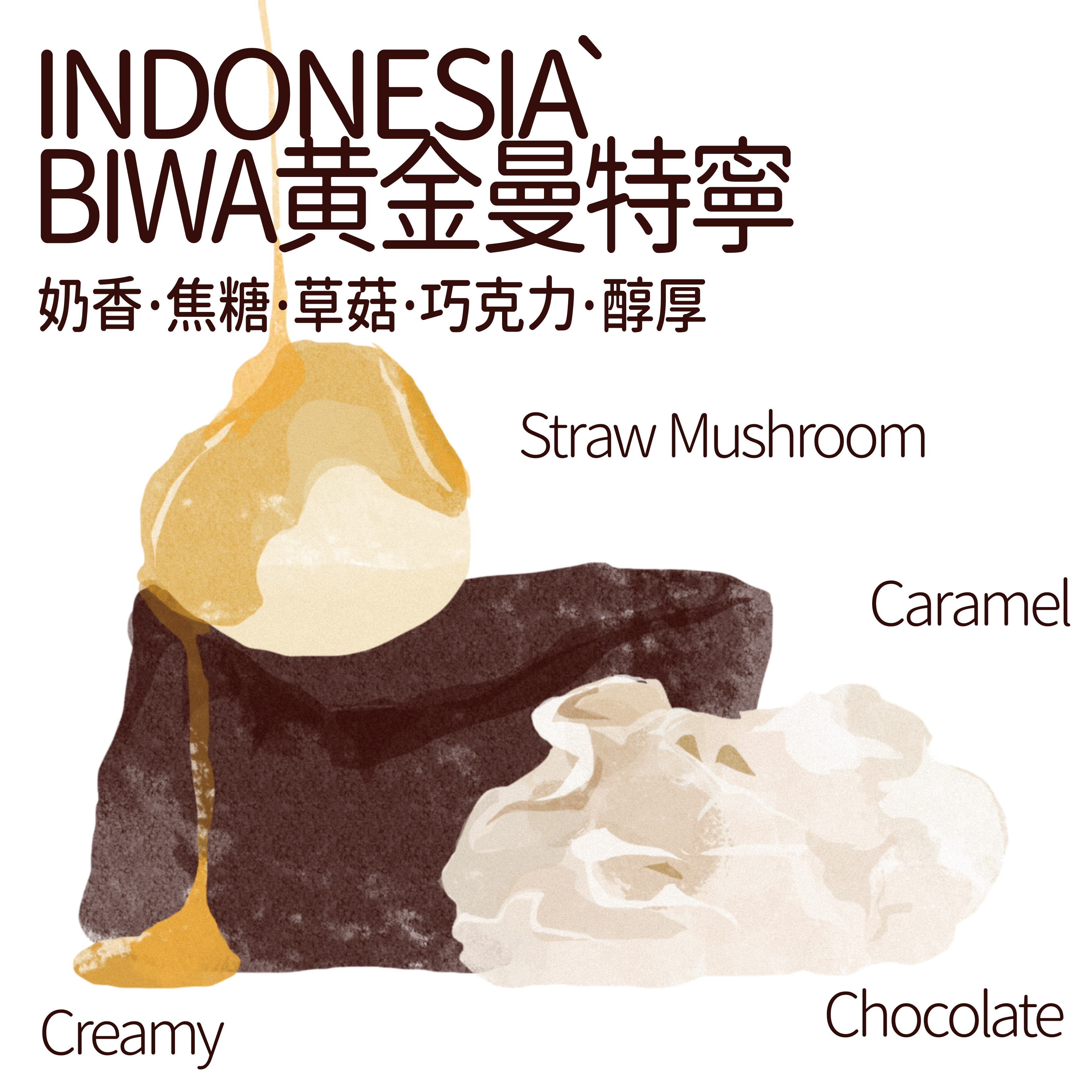 印尼 BIWA⻩⾦曼特宁 湿泡法 BEAN2CUP 单品咖啡豆